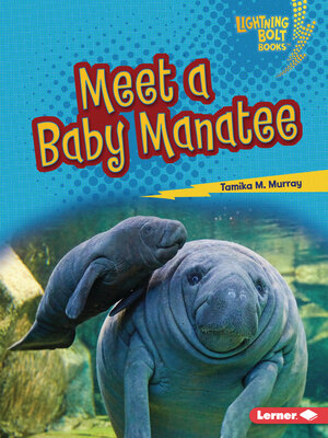 cover image of Meet a Baby Manatee